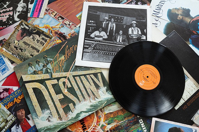 Vinyl Schallplatten